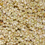 sprouted-buckwheat