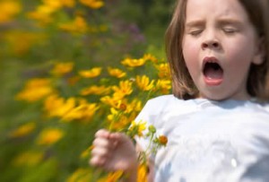 allergy_385x261